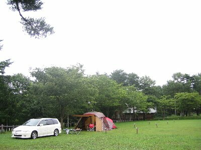 LTCg