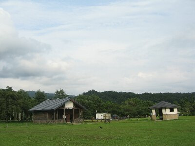 gCA