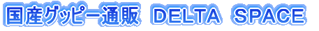 ���Y�O�b�s�[�ʔ́@�c�d�k�s�`�@�r�o�`�b�d