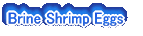 Brine Shrimp Eggs 