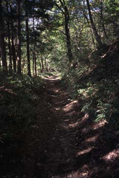 碓氷峠4