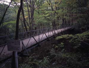 碓氷峠8