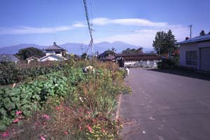 芦田宿はずれ