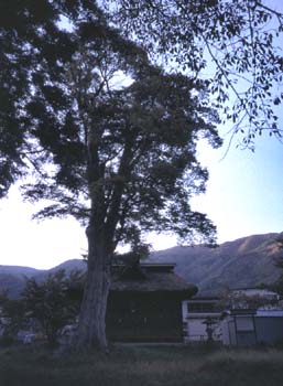 和田八幡神社