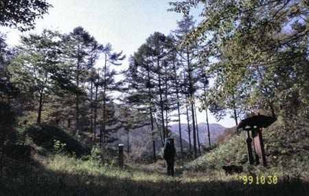 唐沢一里塚