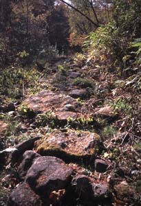 中山道石畳