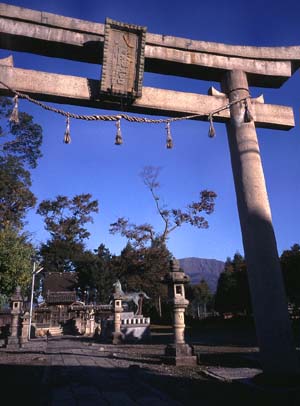 柏原、八幡神社