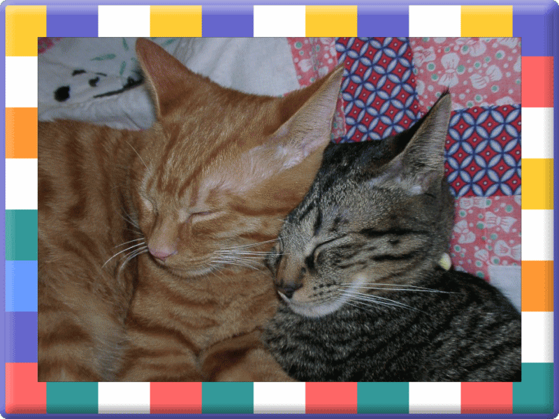 �t���[��