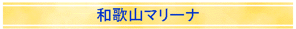 a̎R}[i