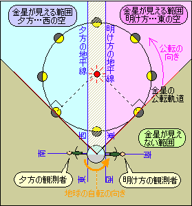 見える 金星