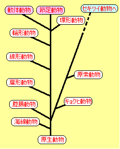 無セキツイ動物