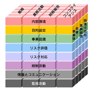 Coso+erm+cube
