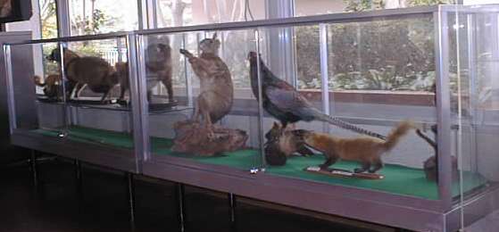 ani0.jpg (19KB)����