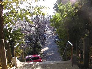 白岩
