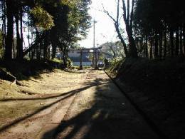 �Гa���璹��