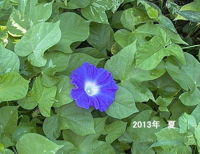 ߂