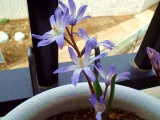 MKeBA